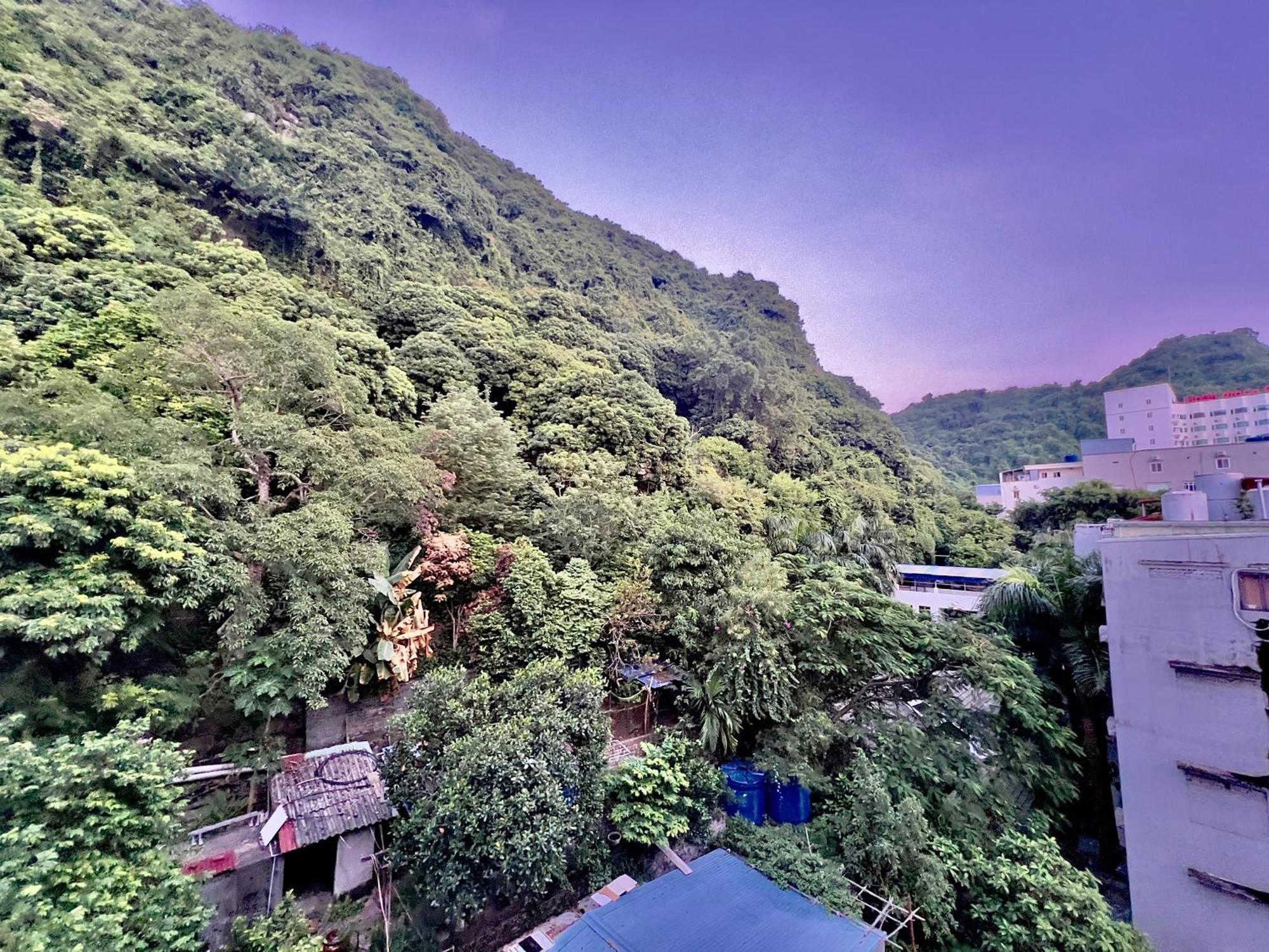 Manh Vuong Hotel Catba Dong Khe Sau Exteriör bild